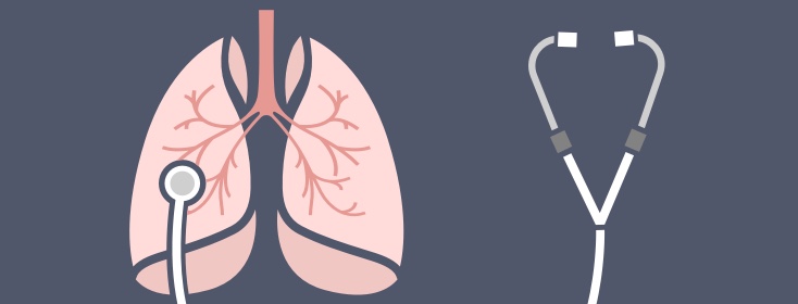 How Healthy Lungs Function | COPD.net