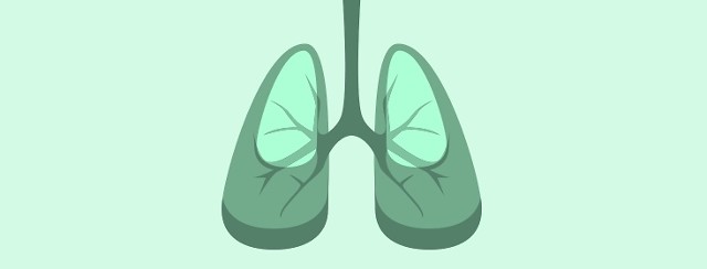 Respiratory 101:  The Respiratory Tract image