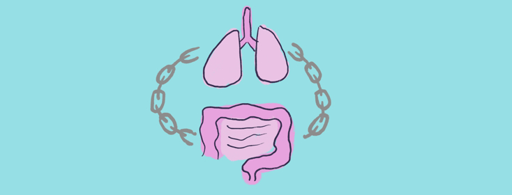 Is There a Link Between Gut Health &amp; COPD?