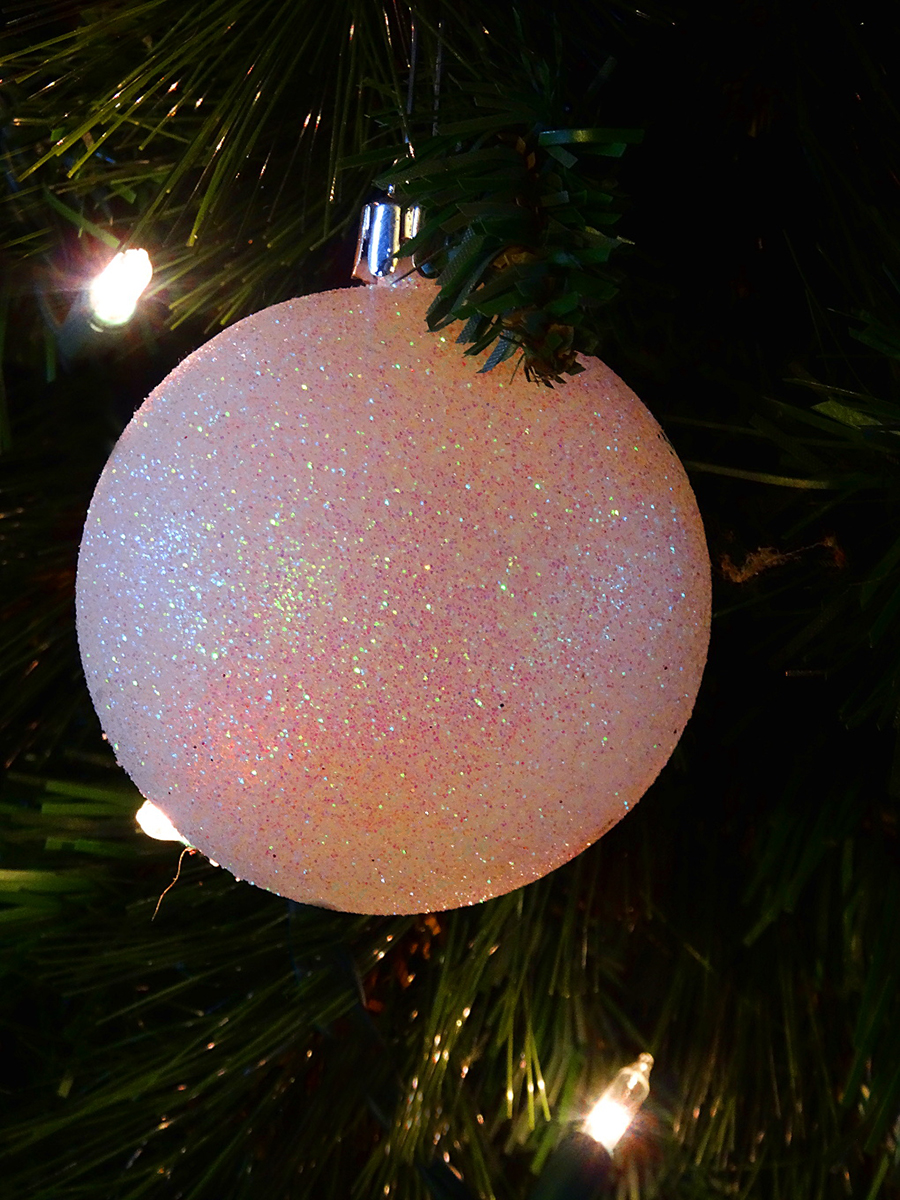 Winter
         Christmas Ornament