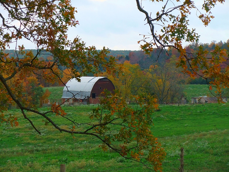 Barn, Autumn