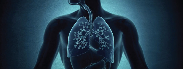 A Look Inside the Lungs: Chronic Bronchitis & Emphysema image
