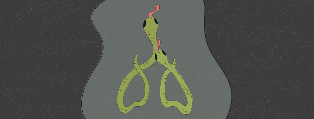 Two snakes intertwined to form a lungs