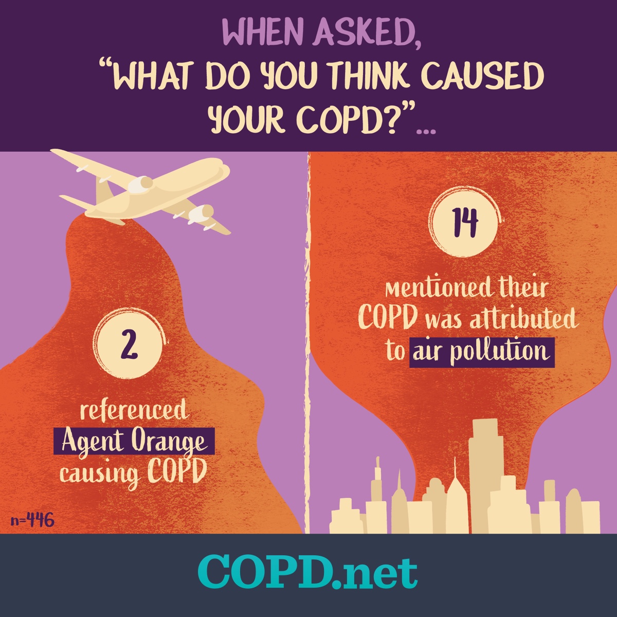 2 people referenced agent orange and 14 mentioned air pollution when talking about what they think caused their COPD