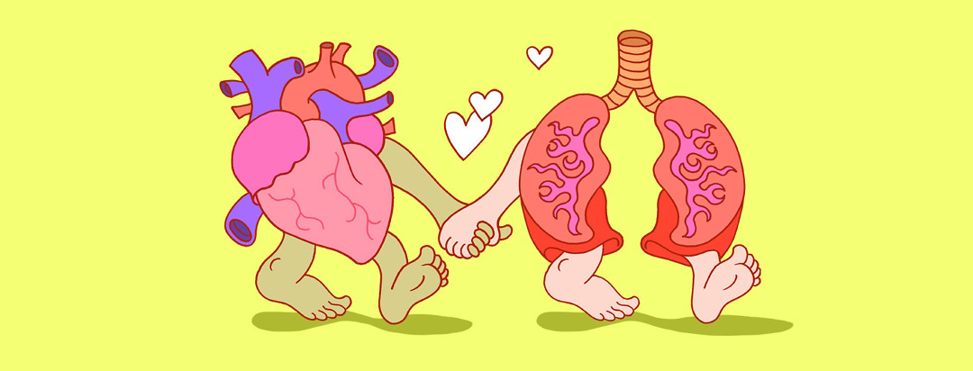 a cartoonish heart and set of lungs are holding hands romantically