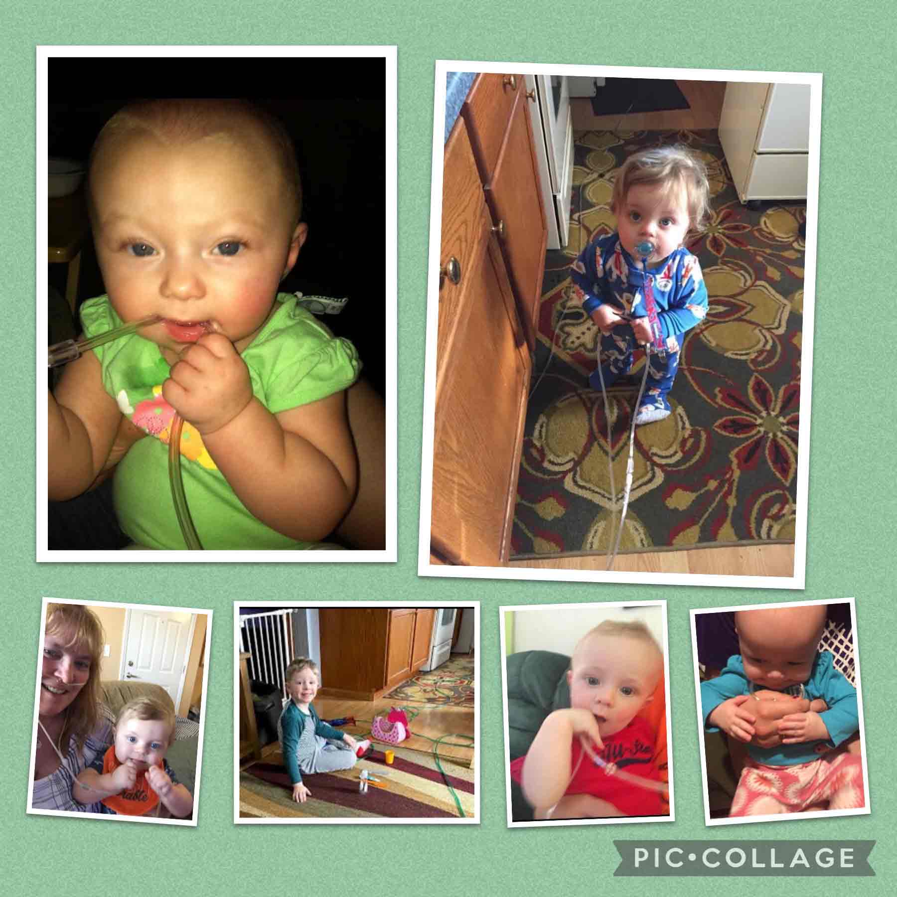 My grandkids teething on or playing around my hoses.