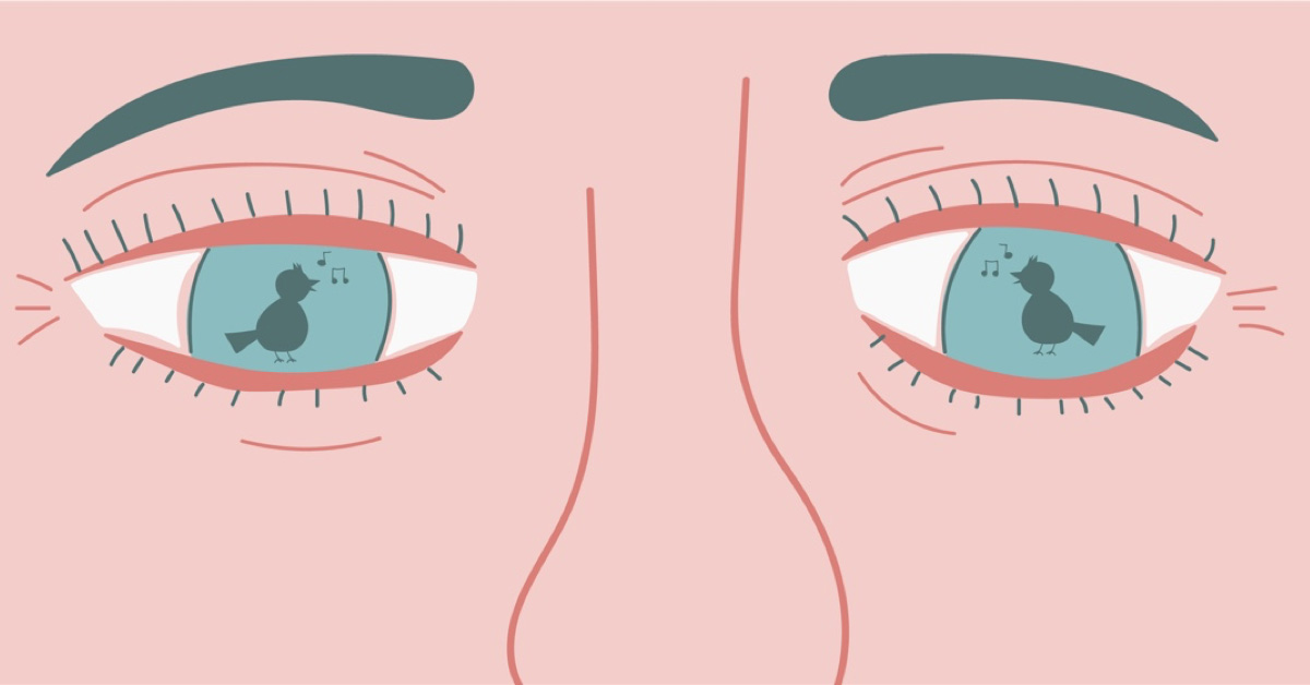 I Love Watching Birds