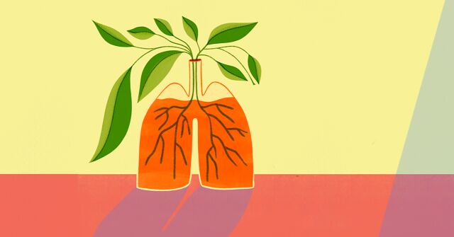 Living Well with COPD: Your Roadmap to Daily Care and Long-Term Management