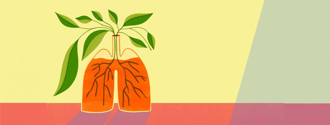 Living Well with COPD: Your Roadmap to Daily Care and Long-Term Management image